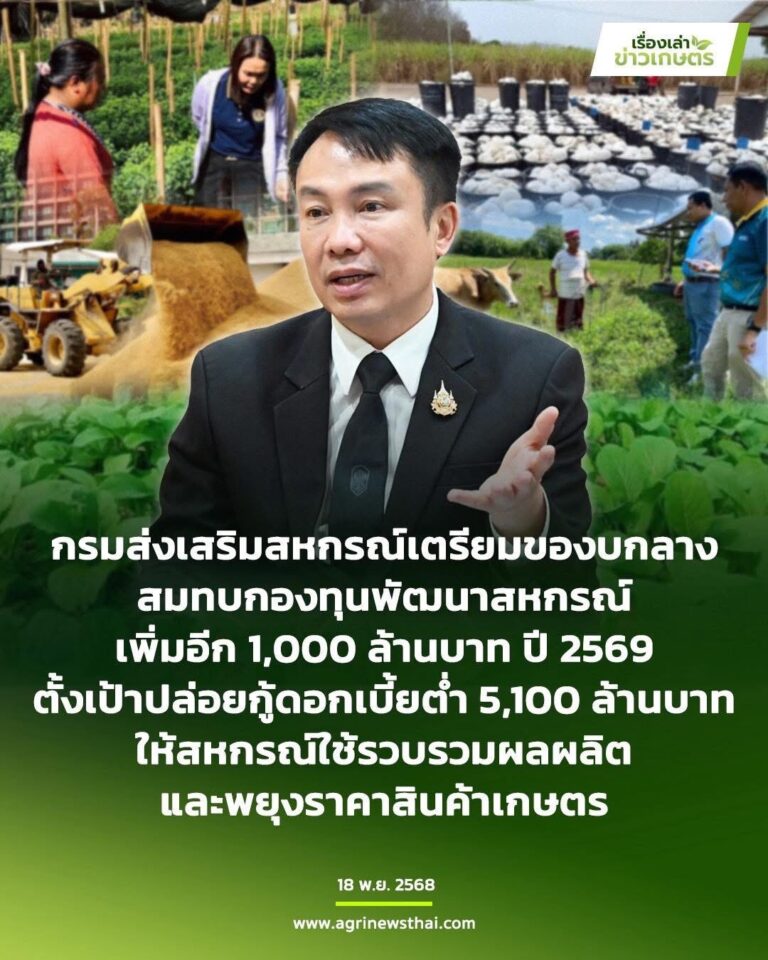 กรมส่งเสริมสหกรณ์เตรียมชงรัฐบาลของบกลางสมทบกองทุนพัฒนาสหกรณ์เพิ่มอีก 1,000 ล้านบาท ปี 2569 ตั้งเป้าปล่อยกู้ดอกเบี้ยต่ำ 5,100 ล้านบาท ให้สหกรณ์ใช้รวบรวมผลผลิตและพยุงราคาสินค้าเกษตร