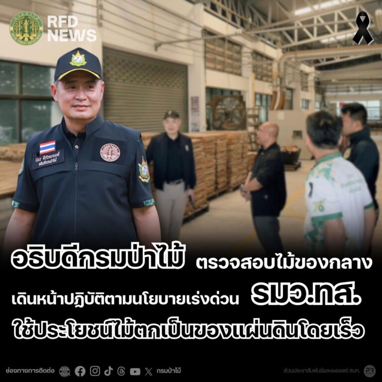อธิบดีกรมป่าไม้ ตรวจสอบไม้ของกลาง เดินหน้าปฏิบัติตามนโยบายเร่งด่วน รมว.ทส. ใช้ประโยชน์ไม้ตกเป็นของแผ่นดินโดยเร็ว