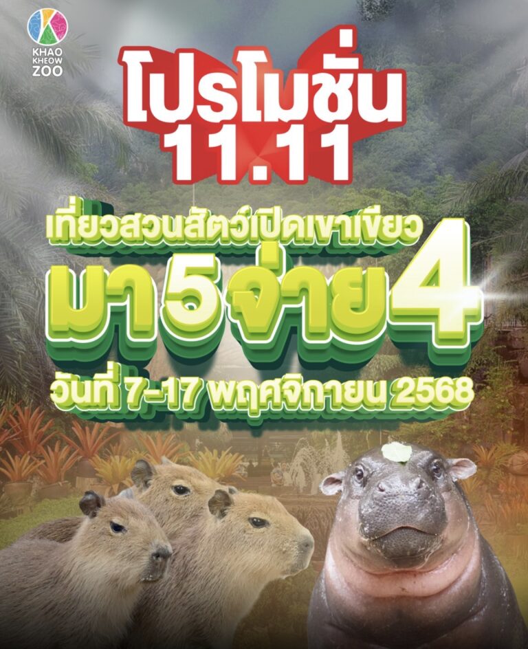 ฉลองเทศกาล 11.11! สวนสัตว์เปิดเขาเขียว จัดโปรสุดปัง “มา 5 จ่าย 4” ชวนครอบครัวและแก๊งเพื่อนซี้เที่ยว 11 วันเต็ม!