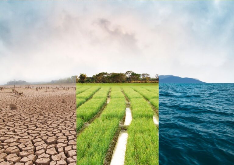 การรับมือกับสามวิกฤตสิ่งแวดล้อมโลก (Triple Planetary Crisis): การเปลี่ยนแปลงสภาพภูมิอากาศการสูญเสียความหลากหลายทางชีวภาพ และมลพิษสิ่งแวดล้อม