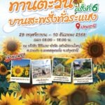 สายคอนเทนต์ห้ามพลาด! ซีพีแรมชวนเติมความสุขรับลมหนาว เช็คอินทุ่งทานตะวัน 5 ไร่ ใกล้กรุงเทพเพียง 45 นาที