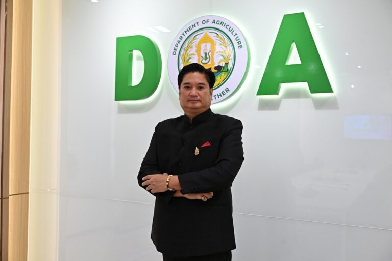 กรมวิชาการเกษตร แจ้งเกิด ชาพันธุ์ใหม่ “กวก.เชียงใหม่ 1” ผลผลิตสูง ใบบาง กลิ่นหอม รสชาติกลมกล่อม