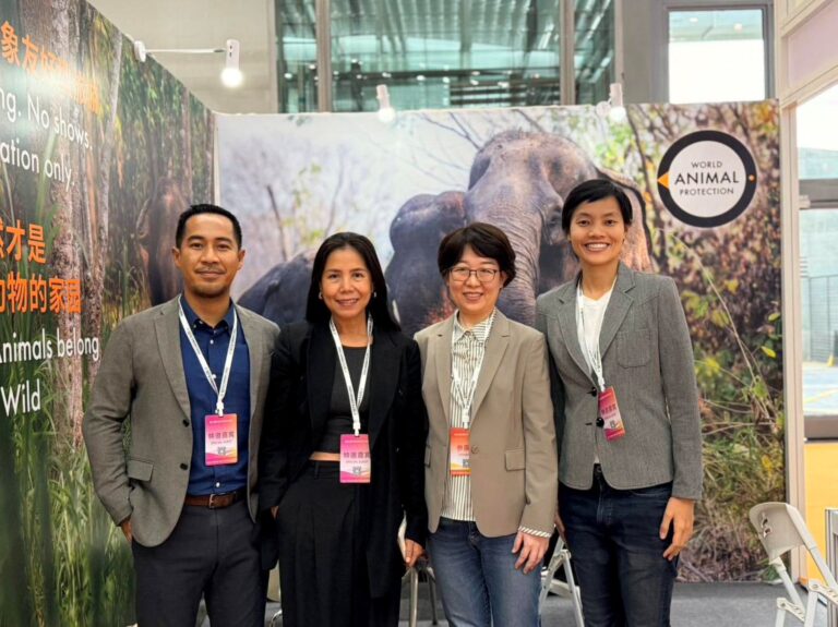 องค์กรพิทักษ์สัตว์แห่งโลกระบุไทยพร้อมขึ้นแท่นศูนย์กลาง Elephant-Friendly Tourism รองรับกระแสนักท่องเที่ยวจีนที่ใส่ใจสวัสดิภาพสัตว์และการท่องเที่ยวเชิงจริยธรรมเพิ่มขึ้น