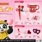 มิสเตอร์. ดี.ไอ.วาย. ตอกย้ำความเป็นผู้นำสินค้าเทศกาล ชวนชอป “D.I.Y. LOVE COLLECTION” รวมไอเดียของขวัญแทนใจรับวาเลนไทน์