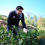 กรมวิชาการเกษตร เปิดตัว 2 นวัตกรรมเกษตรมูลค่าสูง ดันมัทฉะไทย–สตรอว์เบอร์รีปลอดสาร ยกระดับรายได้เกษตรกรบนพื้นที่สูง