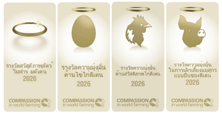 เชิญบริษัทอาหารไทยร่วมสมัครรางวัล Good Farm Animal Welfare Awards 2569