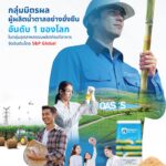 กลุ่มมิตรผลสร้างสถิติใหม่ คว้าผลประเมินด้านความยั่งยืน S&P Global 2025 ด้วยคะแนนสูงสุด ครองตำแหน่งผู้ผลิตน้ำตาลอย่างยั่งยืนอันดับ 1 ของโลก