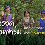 บุญดำรงค์กรีนฟาร์ม เครือข่ายธุรกิจชุมชนเข้มแข็งด้วย “วนเกษตรอินทรีย์”