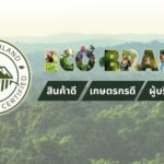 ECO-BRAND กาแฟใต้ร่มไม้ กับภารกิจคืนลมหายใจให้ผืนป่าและผู้คน