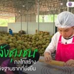 “ล้งชุมชน” กลไกสร้างเศรษฐกิจฐานรากที่ยั่งยืน