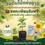 ฟิวเจอร์พาร์คและสเปลล์ ชวนร่วมกิจกรรม “วันต้นไม้แห่งชาติ” รับฟรี! กล้าไม้มงคลและเมล็ดทานตะวัน ภายใต้โครงการ “Green Future”