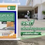 ตัวจริงก่อสร้างปฏิวัติงานพื้น “จระเข้ คอร์ปอเรชั่น” เผยตลาดซ่อมพื้นคอนกรีตโต รับเทรนด์ “รีโนเวตบ้าน” บูมต่อเนื่อง ลุยแคมเปญใหญ่ เปลี่ยน Mindset คนไทย ย้ำ “งานพื้นซ่อมได้-ไม่ต้องทน”