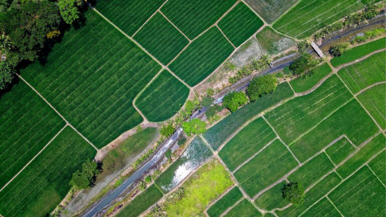 อุปสรรคหรือโอกาสในรักษาตลาดและการเข้าถึงตลาดสหภาพยุโรป ภายใต้กฎระเบียบ EUDR?