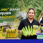 “ฮ๊อม…หอม” อัปเกรดกล้วยชุมพรไร้ค่า แจ้งเกิดสแน็คสุดปัง SME D Bank เติมทุนยกระดับด้วยเทคโนโลยี ส่งต่อประโยชน์สู่ชุมชน