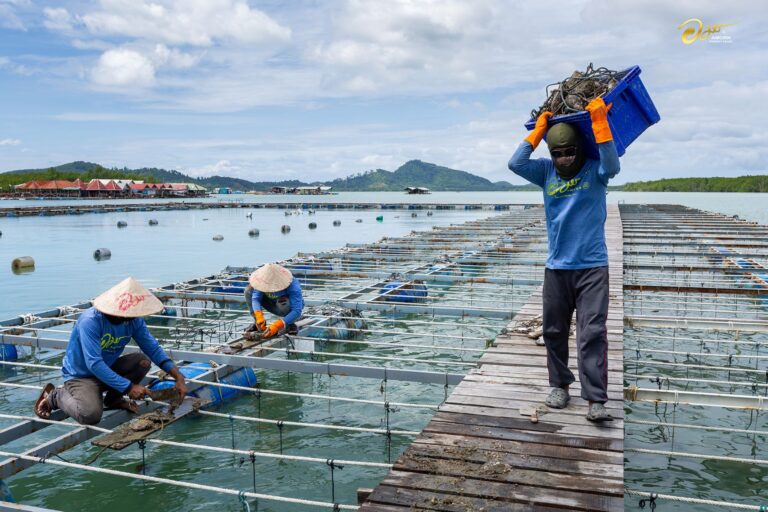 อมร ภูเก็ต เพิร์ล ขับเคลื่อนทิศทางใหม่ ชูท่องเที่ยวเชิงอนุรักษ์รับเทรนด์ไข่มุกโลก พร้อมขยายความร่วมมือรังสรรค์มงกุฎมิสเวิลด์ไทยแลนด์ 2026
