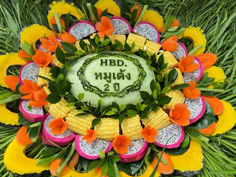 สวนสัตว์เปิดเขาเขียว ชวนฉลองวันเกิด 2 ปี “หมูเด้ง HAPPY เด้ง DAY” และเปิดตัว “Hippo Village” ดึงเด็ก-ผู้สูงอายุเที่ยวฟรี 10–12 กรกฎาคมนี้