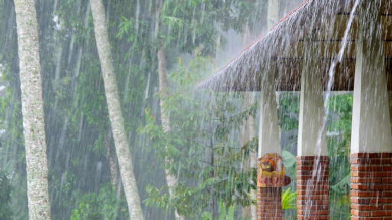 ยุคโลกเดือดและวิกฤต “ฝนแช่” ภัยเงียบที่อันตรายกว่าพายุ และทางรอดของชุมชน