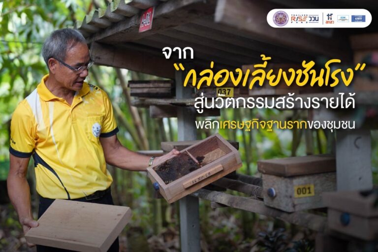 จาก “กล่องเลี้ยงชันโรง” สู่นวัตกรรมสร้างรายได้ พลิกเศรษฐกิจฐานรากของชุมชน