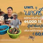 บพท. ชู “นครศรีโมเดล” พลิกนากุ้งร้าง 44,000 ไร่ สู่ฟาร์มปูขาว เพิ่มรายได้จากศูนย์ สู่ 60,000 บาทให้เกษตรกร